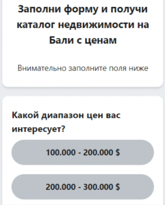 240 заявок в месяц на недвижимость со средним чеком 1,5млн. $ 13 instantform